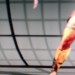 Today Creative Director of Microsoft Game Studios Adam Isgreen posted a small, blurry tease of Maya’s leg. The image is from in-game and Maya appears to be in the dojo. […]